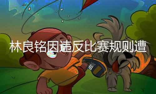 林良铭因违反比赛规则遭遇红牌罚下——赛场争议事件分析