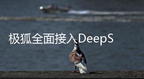 极狐全面接入DeepSeek，深度智能化布局的一二三四战略大揭秘