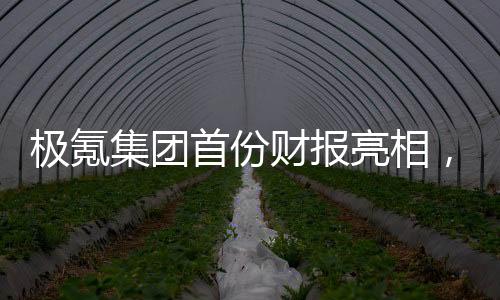 极氪集团首份财报亮相，营收突破千亿大关，展现强劲增长势头