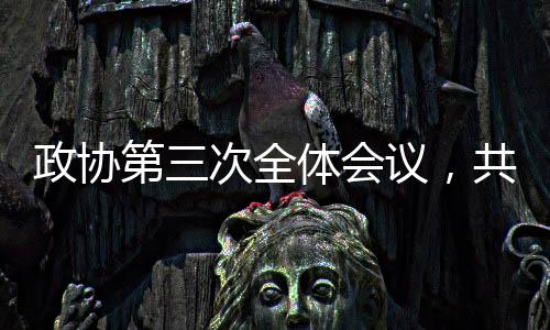 政协第三次全体会议，共商国是，聚焦发展