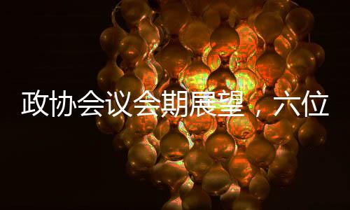 政协会议会期展望，六位一体全面关注