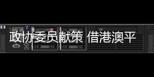 政协委员献策 借港澳平台推“宁夏IP”出海