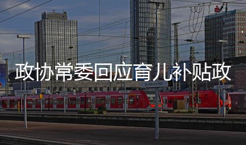 政协常委回应育儿补贴政策难点