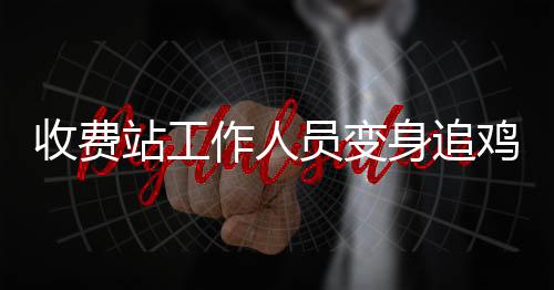收费站工作人员变身追鸡者，一场意外的田园冒险