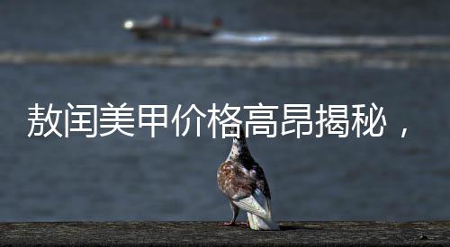 敖闰美甲价格高昂揭秘，优质美甲的背后故事