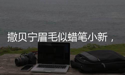 撒贝宁眉毛似蜡笔小新，一场关于模仿与魅力的热议