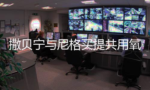 撒贝宁与尼格买提共用氧气瓶，一段引人深思的旅程故事