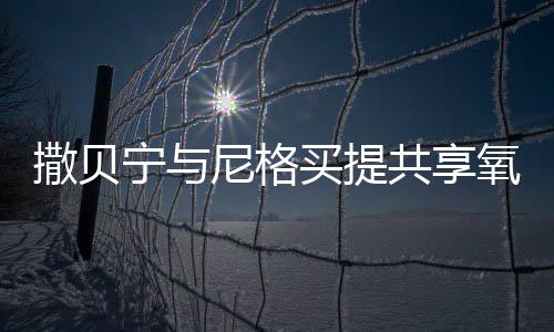 撒贝宁与尼格买提共享氧气瓶，一段探险旅程的生动见证