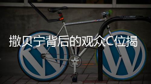 撒贝宁背后的观众C位揭秘，一场文化与视线的交汇