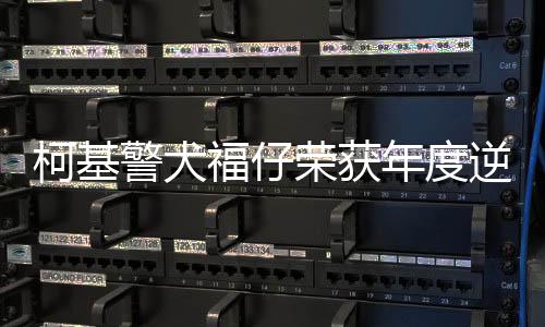柯基警犬福仔荣获年度逆天改命奖