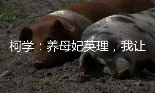 柯学：养母妃英理，我让小兰黑化
