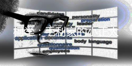 柯学：毛利家的小正太