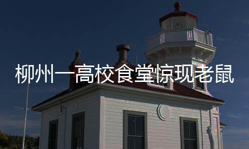 柳州一高校食堂惊现老鼠爬上煮面桶，卫生安全引发关注