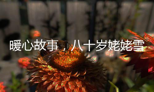 暖心故事，八十岁姥姥雪路铲三公里接女孩回家