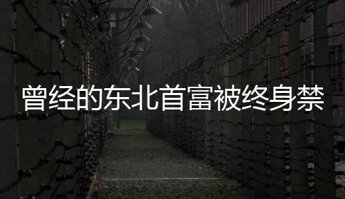 曾经的东北首富被终身禁入证券市场，揭幕财富风云背后的警示故事
