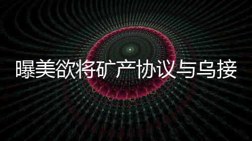 曝美欲将矿产协议与乌接受停火挂钩，一场复杂的国际博弈