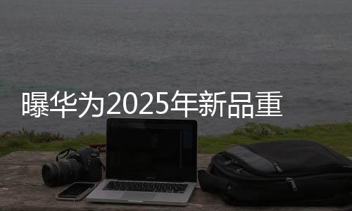 曝华为2025年新品重磅更新，科技与创新的再一次飞跃
