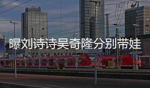曝刘诗诗吴奇隆分别带娃不同框，家庭生活的独特细节揭秘