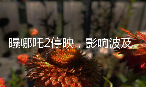 曝哪吒2停映，影响波及300家影院，业界热议背后原因