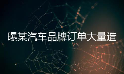 曝某汽车品牌订单大量造假，深度调查与揭秘