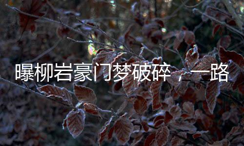 曝柳岩豪门梦破碎，一路跌宕起伏的心路历程