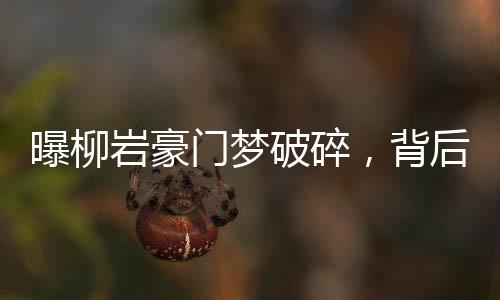 曝柳岩豪门梦破碎，背后的故事引人深思