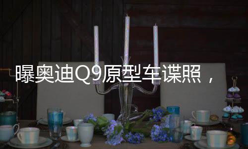 曝奥迪Q9原型车谍照，全新旗舰SUV引领未来科技潮流