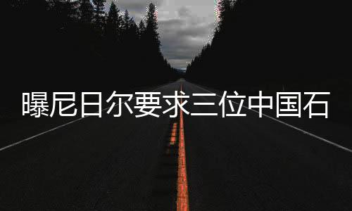 曝尼日尔要求三位中国石油高管离境，引发国际关注