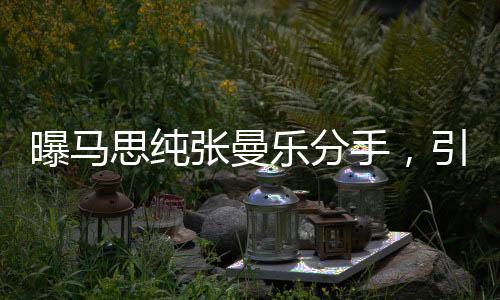 曝马思纯张曼乐分手，引发网友热议