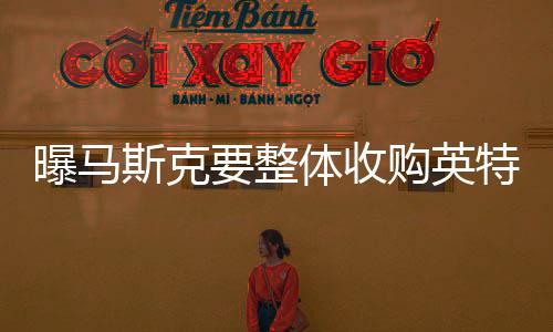 曝马斯克要整体收购英特尔！公司股价暴涨近10%