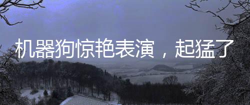 机器狗惊艳表演，起猛了，舞动科技之魅