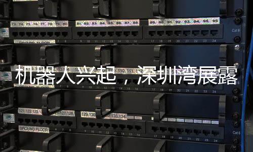 机器人兴起，深圳湾展露科技新风貌——机器人在深圳湾跑步的崭新篇章
