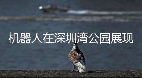 机器人在深圳湾公园展现新风貌，跑步竞赛的新时代篇章