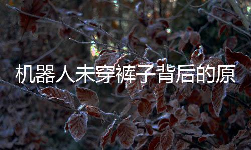 机器人未穿裤子背后的原因