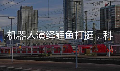 机器人演绎鲤鱼打挺，科技赋予力量，被推倒后瞬间起身