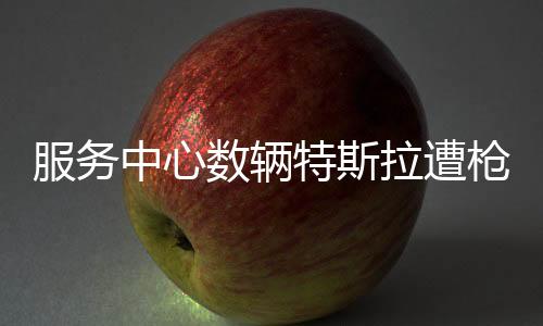 服务中心数辆特斯拉遭枪击火焚 马斯克：疯狂且错误