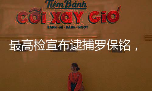 最高检宣布逮捕罗保铭，引发社会广泛关注