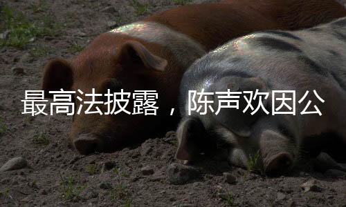 最高法披露，陈声欢因公牺牲，深切缅怀他的杰出贡献