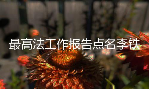 最高法工作报告点名李铁杜兆才案，揭示体育界腐败内幕