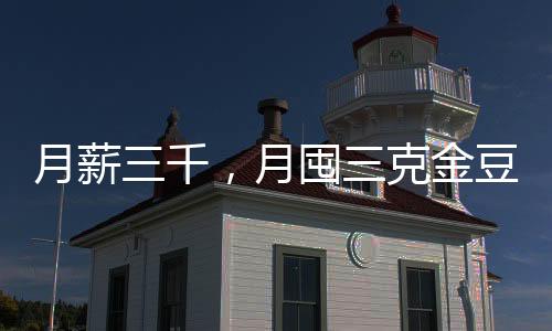 月薪三千，月囤三克金豆——普通人的黄金储备之路