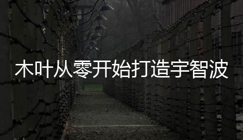 木叶从零开始打造宇智波双穿海贼
