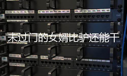 未过门的女婿比驴还能干——记一段新时代下的佳话传奇