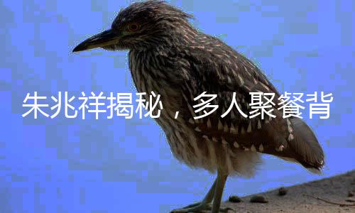 朱兆祥揭秘，多人聚餐背后的真实目的，究竟是为了见胡静？