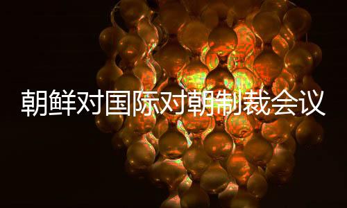 朝鲜对国际对朝制裁会议的态度分析