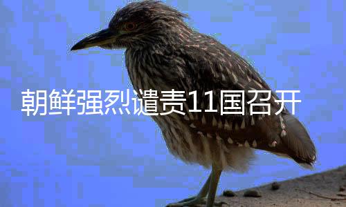 朝鲜强烈谴责11国召开对朝制裁会议，国际社会应对朝政策进行反思