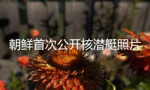 朝鲜首次公开核潜艇照片，揭示的深层意义与未来展望