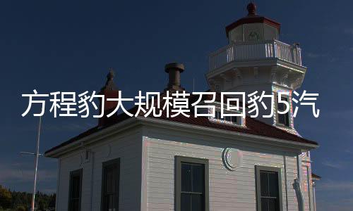 方程豹大规模召回豹5汽车，深入解读与前景展望