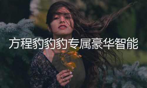 方程豹豹豹专属豪华智能驾驶体验重磅揭晓 —— 一次突破创新的出行革新之旅