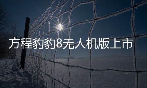 方程豹豹8无人机版上市，引领无人机技术新篇章