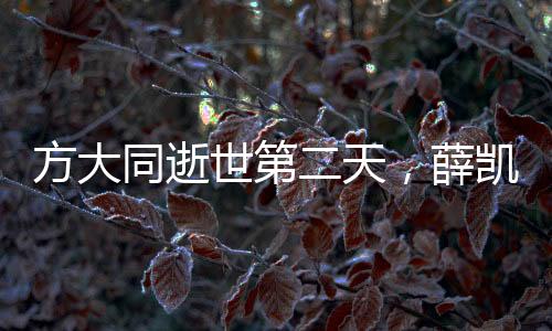 方大同逝世第二天，薛凯琪唱歌爆哭，缅怀音乐传奇